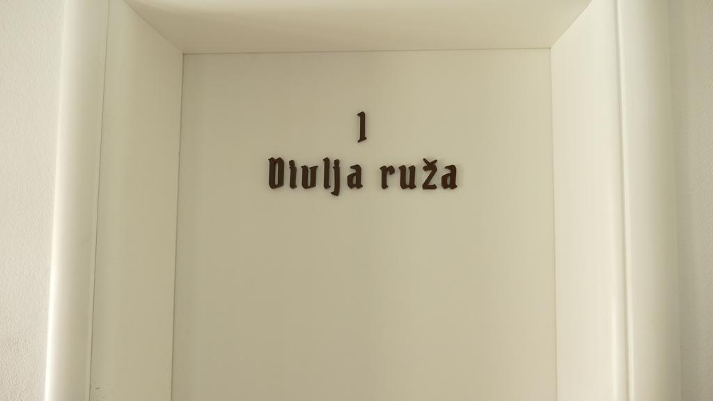 Guest House Villa Herbarium Slavonski Brod Extérieur photo